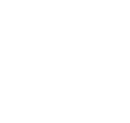 logo-sonesp